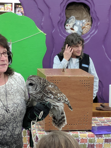 Gift Shop «The Hoot», reviews and photos, 86 Storrs Rd, Willimantic, CT 06226, USA