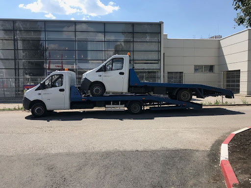 Авто тамбов котята