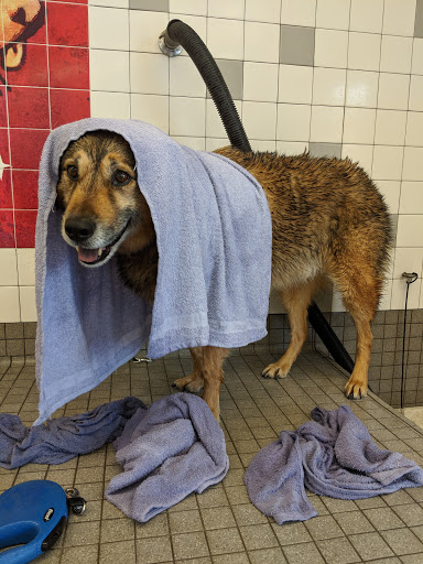 Pet Supply Store «Pet Food Express», reviews and photos, 5148 Stevens Creek Blvd, San Jose, CA 95129, USA