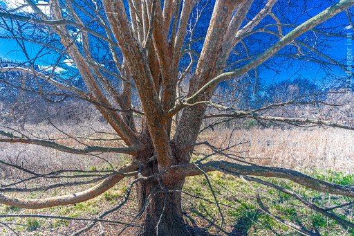 Park «Parr Park Sprayground», reviews and photos, 3010 Parr Ln, Grapevine, TX 76051, USA