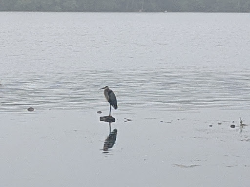 Nature Preserve «Franklin Lakes Nature Preserve», reviews and photos, 1 Nature Preserve Way, Franklin Lakes, NJ 07417, USA