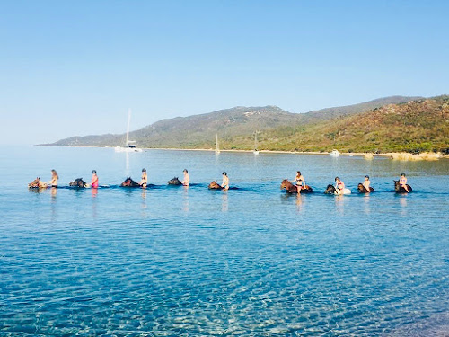 attractions Fior di Lezza Cupabia baignade à cheval Serra-di-Ferro