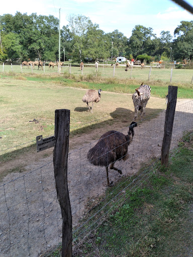 Farm «Pettit Creek Farms», reviews and photos, 337 Cassville Rd, Cartersville, GA 30120, USA