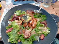 Salade César du Chez Molly - Restaurant Grillade & Pizzeria Montaudran à Toulouse - n°12