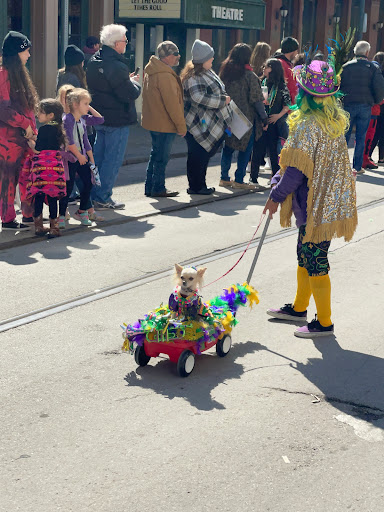 Performing Arts Theater «Island ETC (East-End Theatre Company», reviews and photos, 2317 Mechanic St, Galveston, TX 77550, USA