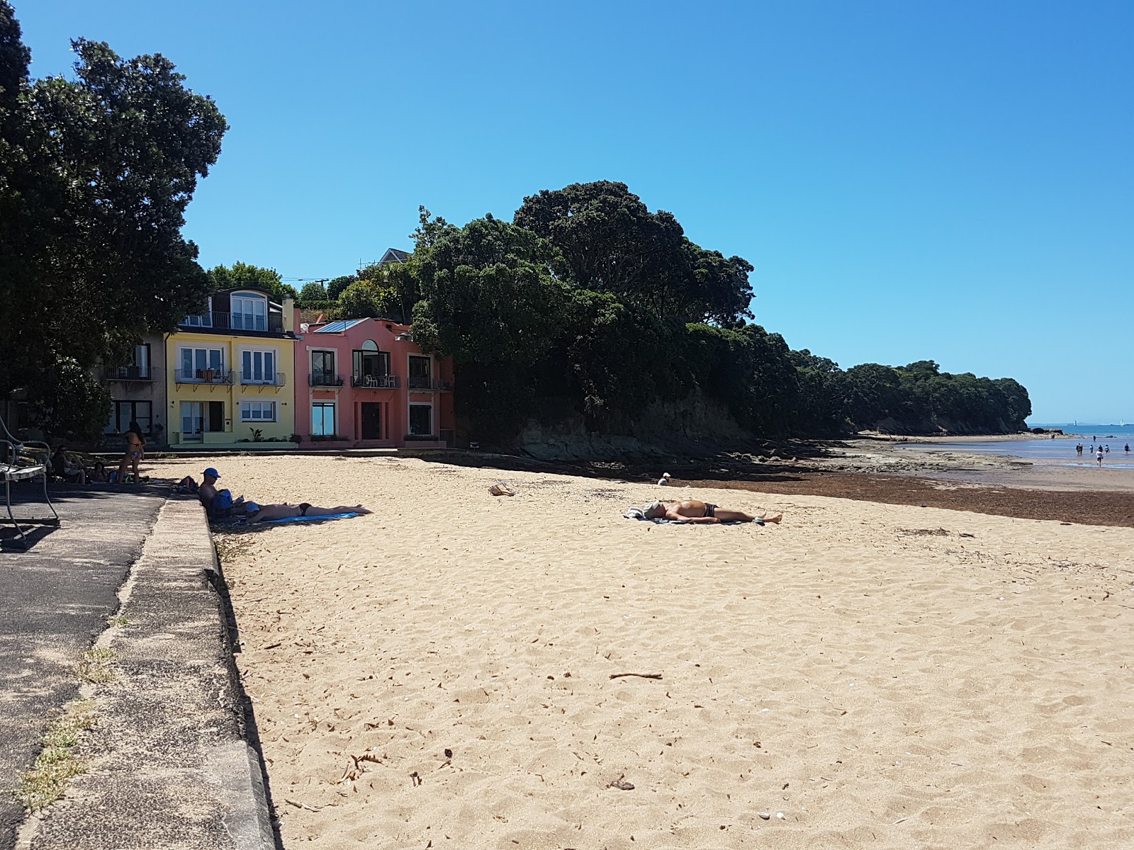 Photo de Cheltenham Beach - endroit populaire parmi les connaisseurs de la détente