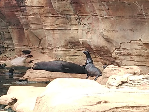 Zoo «Memphis Zoo», reviews and photos, 2000 Prentiss Pl, Memphis, TN 38112, USA