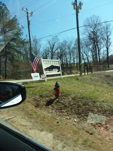 Winery «Currahee Vineyard & Winery», reviews and photos, 3301 W Currahee St, Toccoa, GA 30577, USA