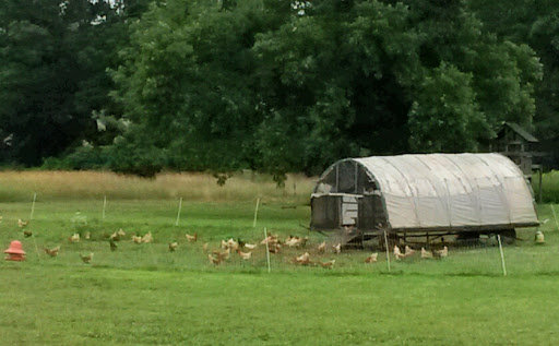 Produce Market «Blue Moon Acres», reviews and photos, 11 Willow Creek Dr, Pennington, NJ 08534, USA