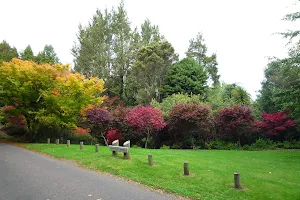 Waipahihi Botanical Reserve image