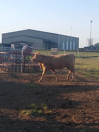 Golf Course «Sugar Tree Golf Club», reviews and photos, 251 Sugartree Dr, Lipan, TX 76462, USA