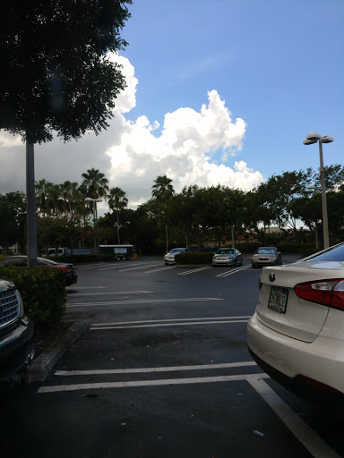 Supermarket «Publix Super Market at Miller Plaza West», reviews and photos, 15755 SW 56th St, Miami, FL 33185, USA