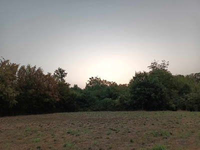 La Ferrière à Champagné-le-Sec