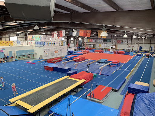 Top Flight Gymnastics Training