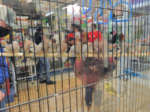 Shopping Mall «Super Mall», reviews and photos, 5220 S Pulaski Rd, Chicago, IL 60632, USA