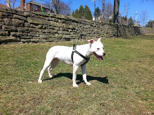 Olympia Park - photo 11