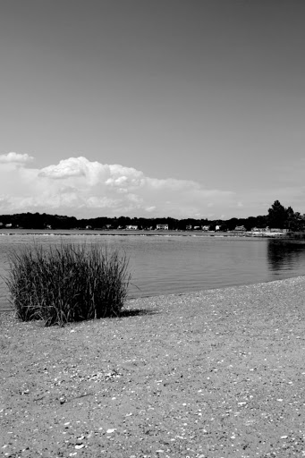 Nature Preserve «Cove Island Wildlife Sanctuary», reviews and photos, 1125 Cove Rd, Stamford, CT 06902, USA