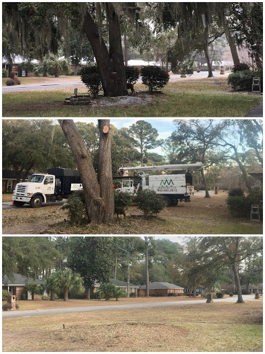 ArborMan Tree Service, LLC