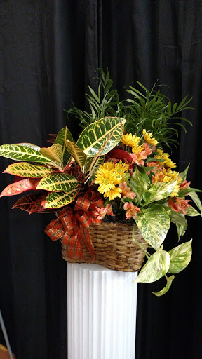 Florist «Four Seasons Florist», reviews and photos, 3482 Drusilla Ln Ste. G, Baton Rouge, LA 70809, USA