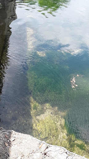 Park «Katherine B. Winniford Park», reviews and photos, 4900 Highlands Dr, McKinney, TX 75070, USA