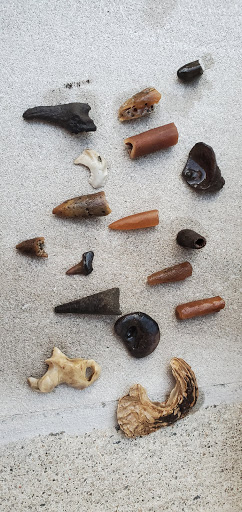 Nature Preserve «Big Brook Preserve», reviews and photos, 95 Hillsdale Rd, Colts Neck, NJ 07722, USA