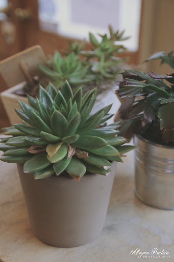 Florist «Bloomtastic Florist», reviews and photos, 2136 Arlington Ave, Columbus, OH 43221, USA