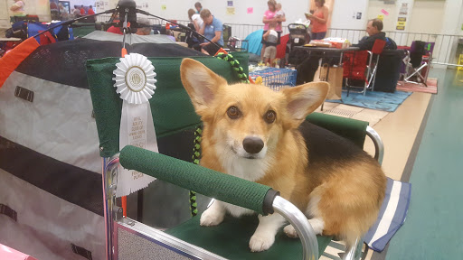 Sports Complex «Libertyville Sports Complex», reviews and photos, 1950 US-45, Libertyville, IL 60048, USA