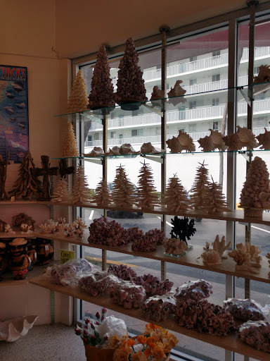 Gift Shop «Big Shark», reviews and photos, 2715 N Atlantic Ave, Daytona Beach, FL 32118, USA