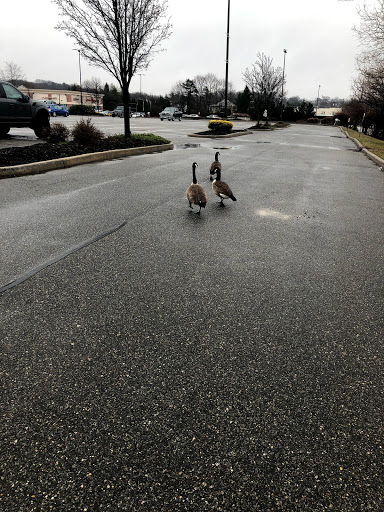 Explore mexican tattoo ideas, creative tattoo ideas in Port Washington, available at Tori Ear Piercing