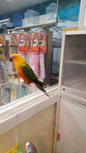 Pet Store «Pet World», reviews and photos, 7585 W 10th Ave, Lakewood, CO 80214, USA