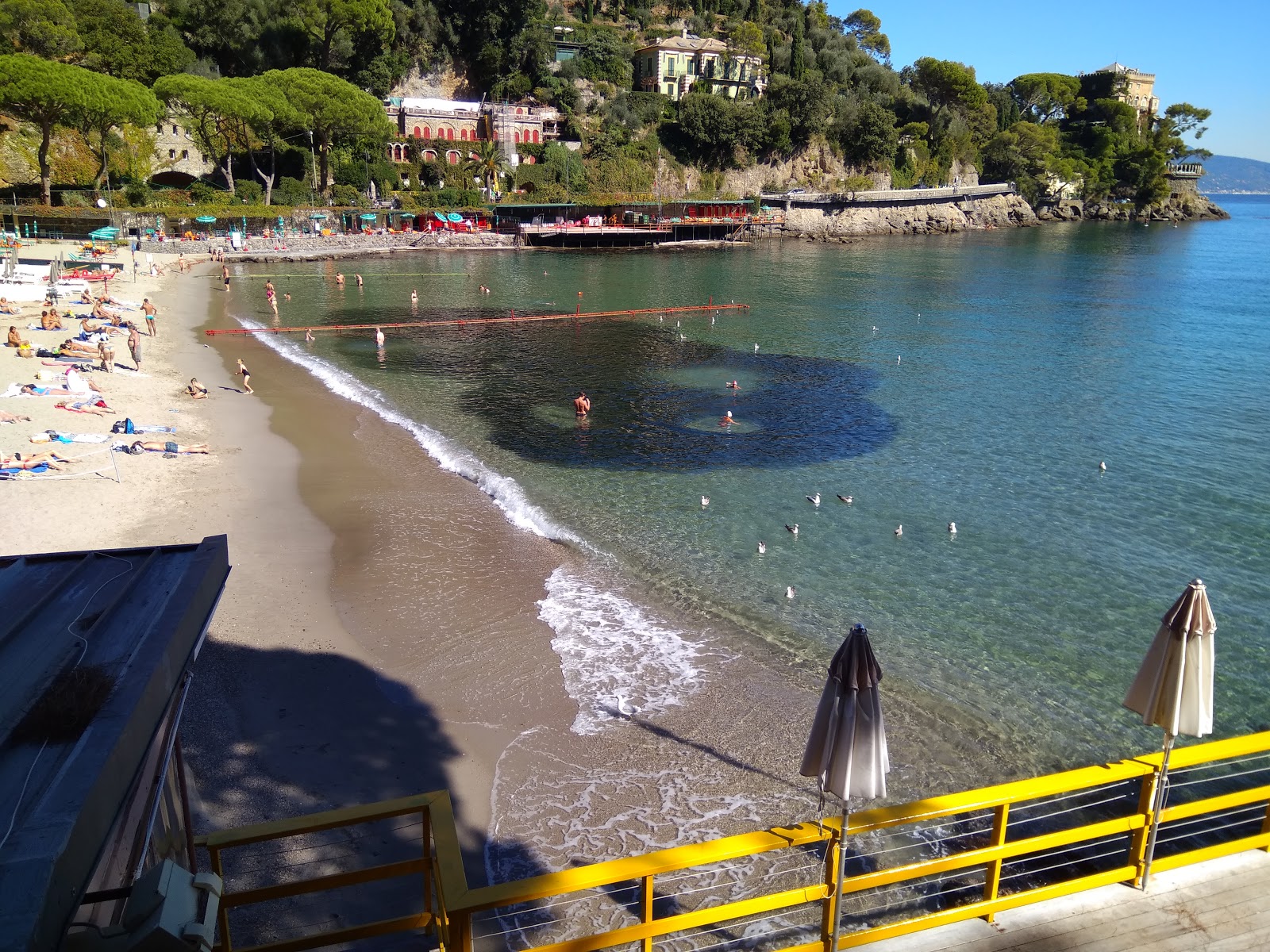 Foto de Praia de Paraggi - lugar popular entre os apreciadores de relaxamento