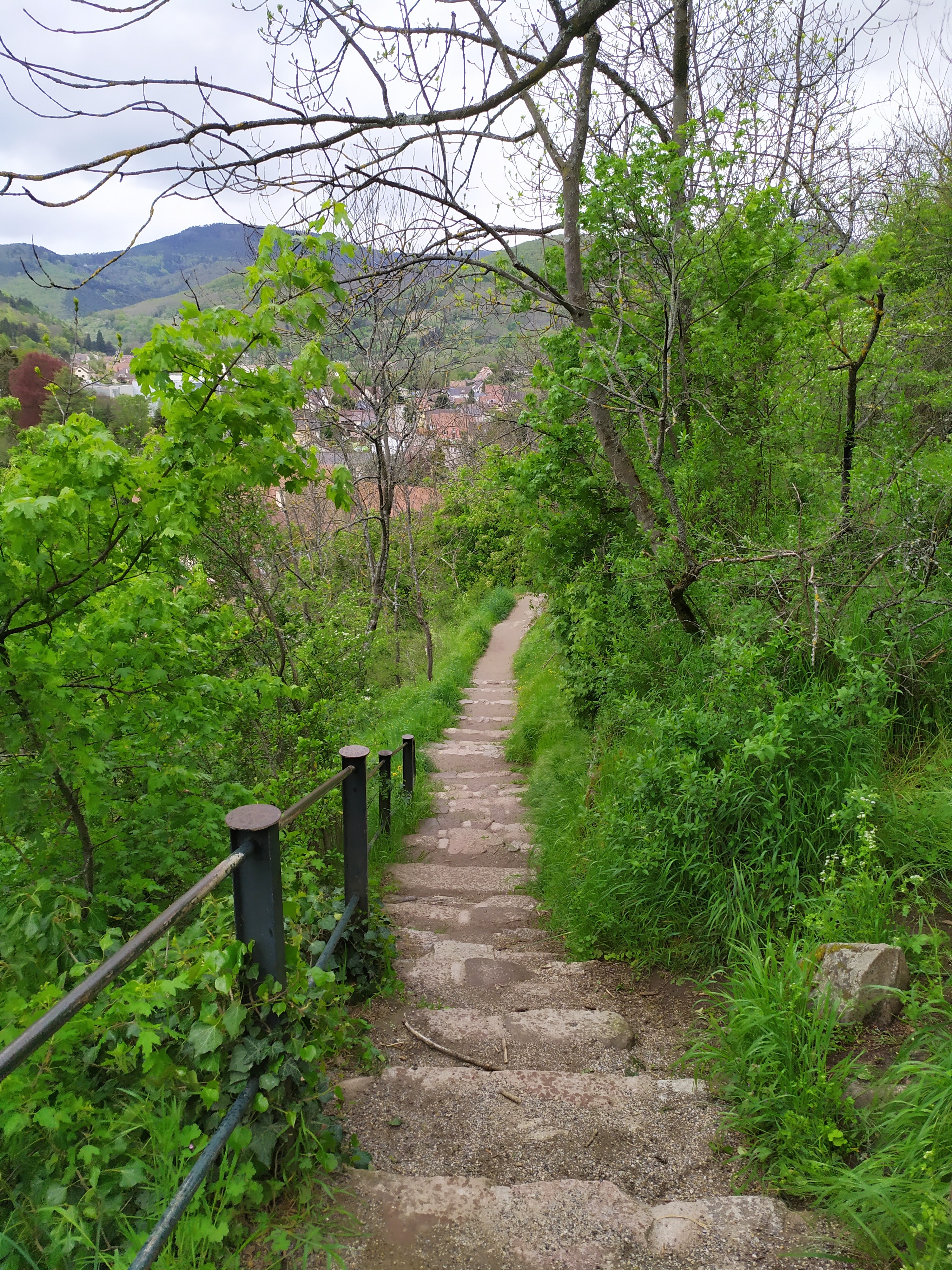 Photo n° 1 de l'avis de giuliani.a fait le 27/04/2019 à 21:08