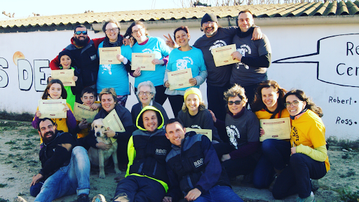 Guarderías caninas y cuidadores de mascotas en Tortosa de 2024