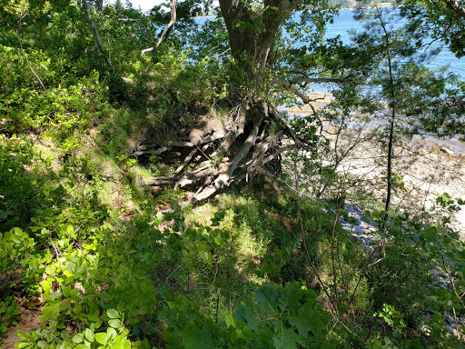 Nature Preserve «Littlejohn Island Preserve», reviews and photos, Pemasong Ln, Yarmouth, ME 04096, USA