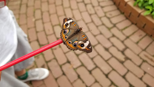 Botanical Garden «Beech Creek Botanical Garden & Nature Preserve», reviews and photos, 11929 Beech St NE, Alliance, OH 44601, USA