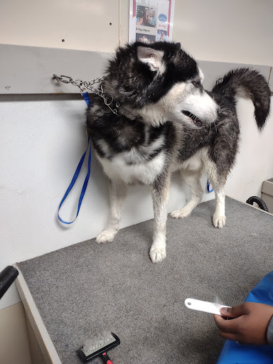 Pet Groomer «U Dirty Dog», reviews and photos, 232 Stevens Entry, Peachtree City, GA 30269, USA