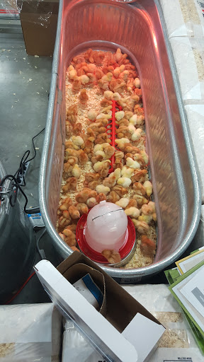 Home Improvement Store «Tractor Supply Co.», reviews and photos, 901 FM 509, San Benito, TX 78586, USA