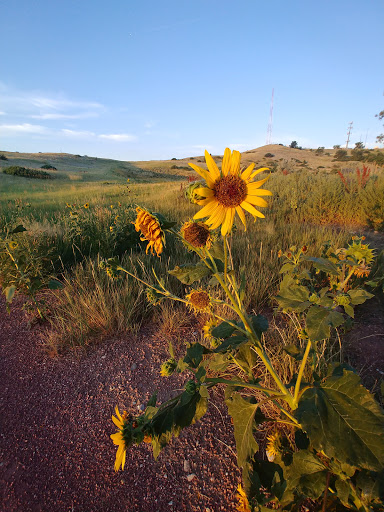 Park «Iron Horse Park», reviews and photos, 6151 Elwell St, Fort Carson, CO 80913, USA