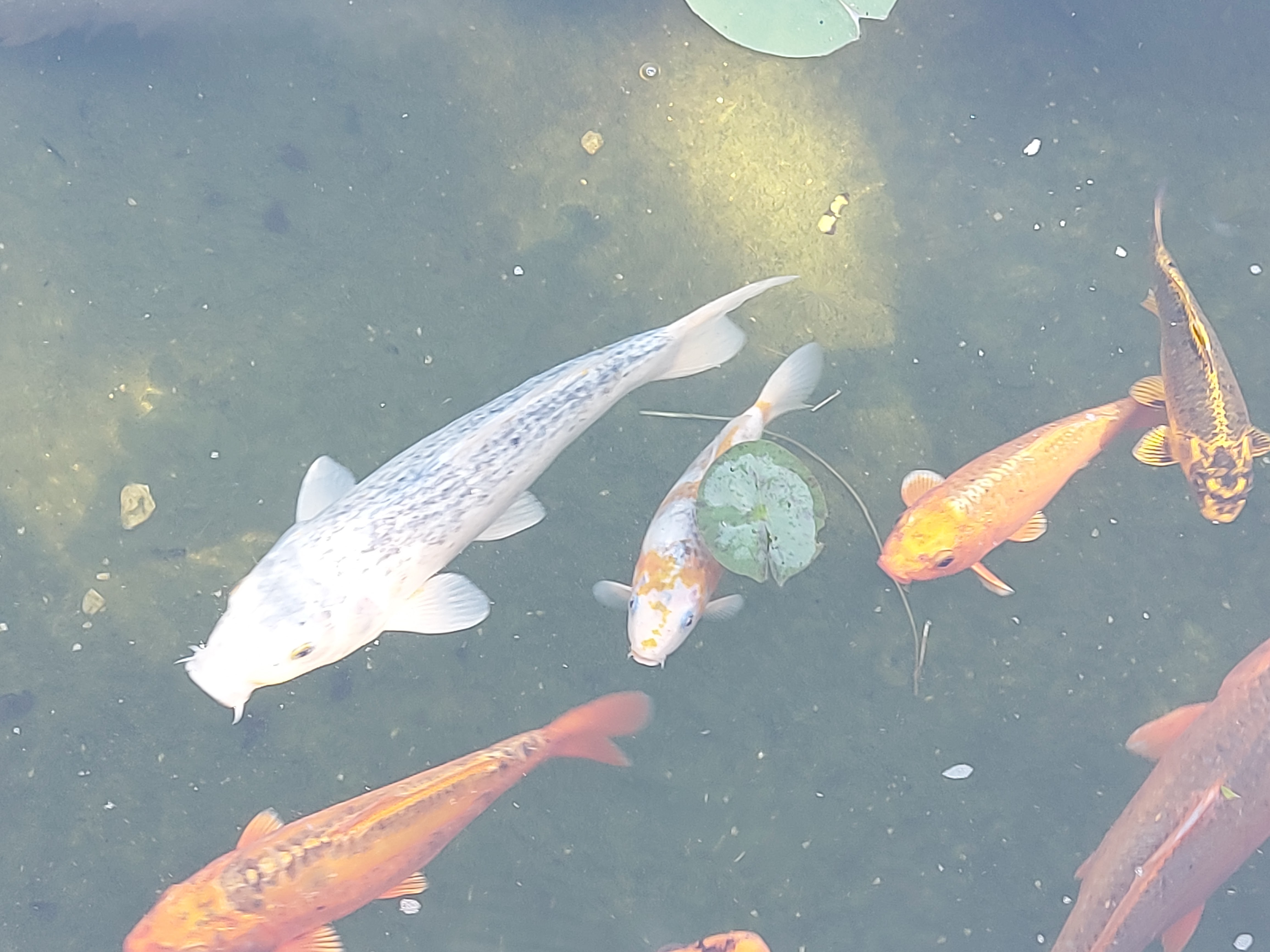 Photo n° 22 de l'avis de Brigitte.o fait le 02/09/2021 à 08:01