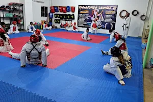 TAEKWONDO LEONES Performance image