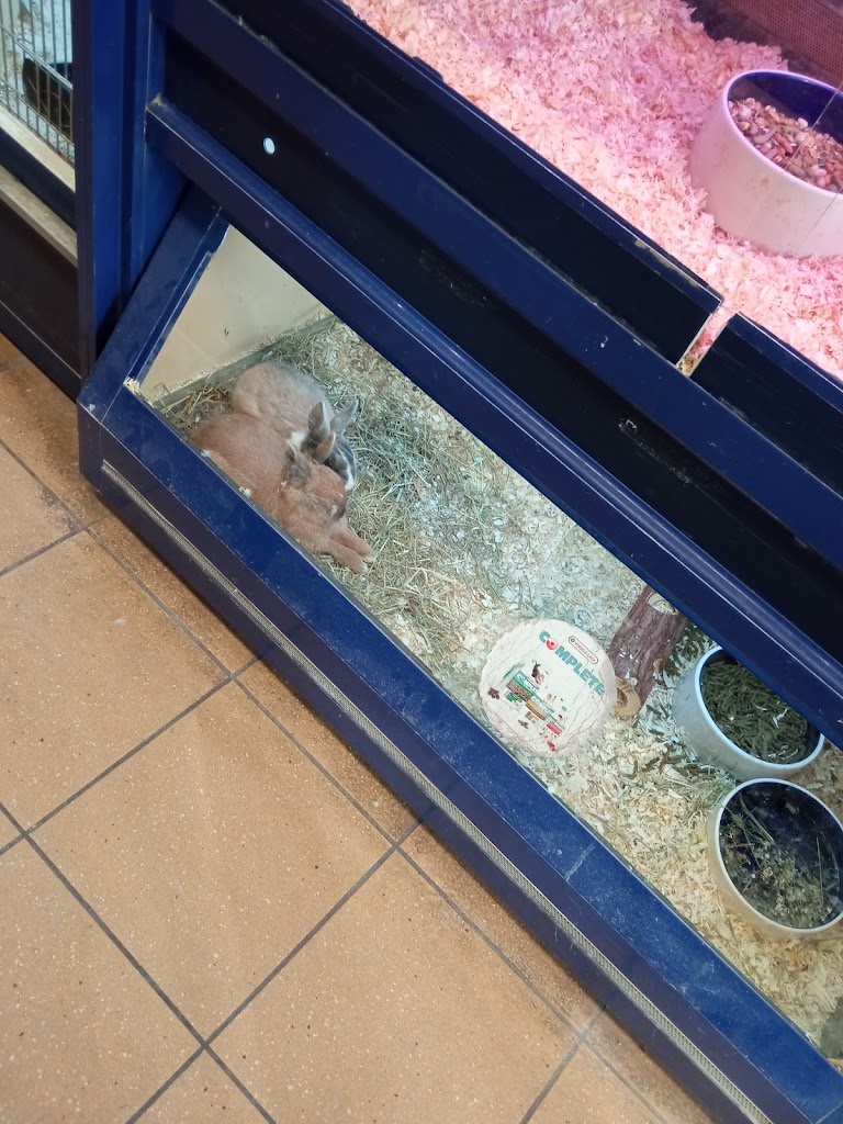 Animal store Calais Menu, Avis, Horaires & Contact