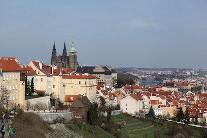 Discover Prague Tours