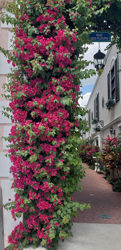 Tea House «Brambles English Tea Room», reviews and photos, 340 5th Ave S, Naples, FL 34102, USA