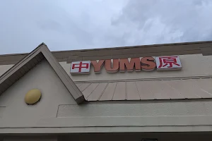 Yums Chinese Restaurant image