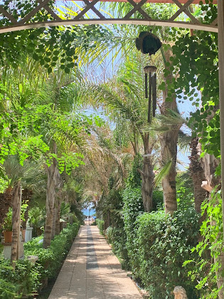 Photo Appartamento per vacanza in affitto Case LioLa 97018 Donnalucata