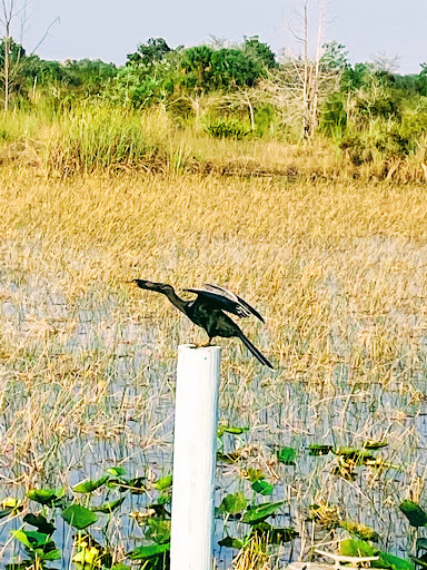 Nature Preserve «Chapel Trail Nature Preserve», reviews and photos, 19800 Sheridan St, Fort Lauderdale, FL 33332, USA