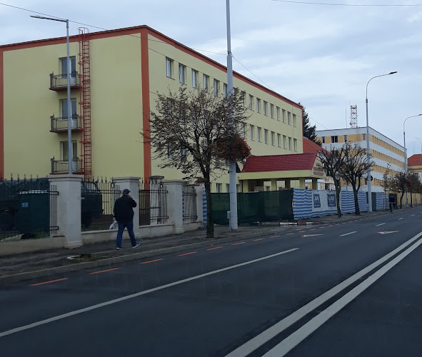 Academia Forțelor Terestre Nicolae Bălcescu - Școală