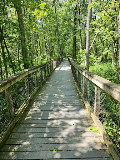 Swallow Hollow Trail