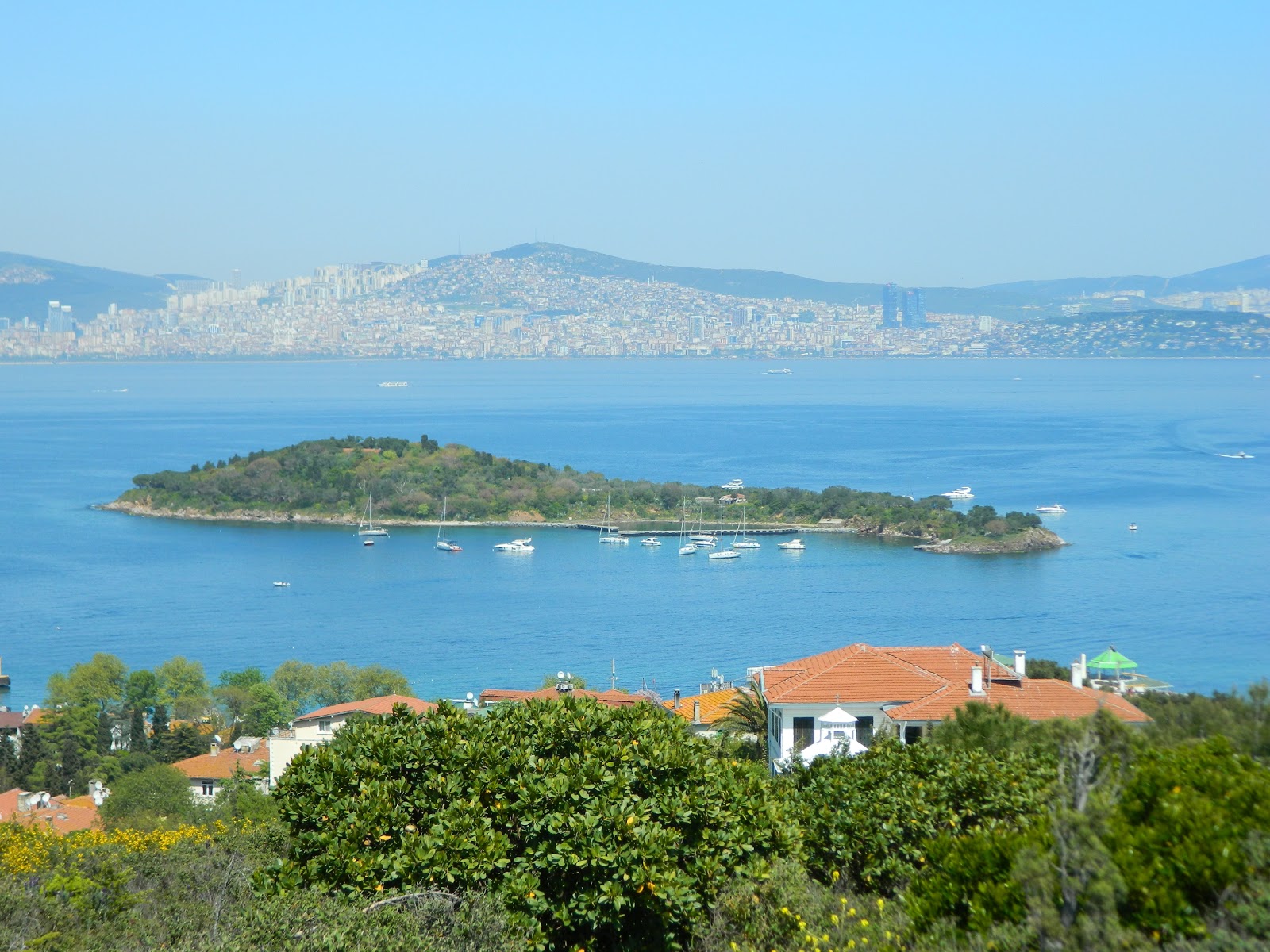 Φωτογραφία του Kasik Adasi Sahili με ευρύχωρη ακτή