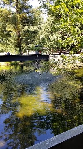 Amusement Park «Pacific NW Live Steamers», reviews and photos, 31803 S Shady Dell Rd, Molalla, OR 97038, USA